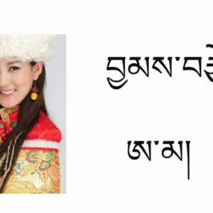 JyamTsay Ama Song By | Tsewang Lhamo བྱམས་བརྩེ་ཨ་མ། #tibetansong