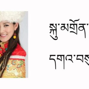 KuDoin GaSu Song By | Tsewang Lhamo སྐུ་མགྲོན་དགའ་བསུ། #tibetansong