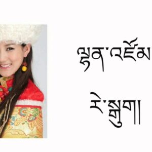 LhanZom Gye RayGug Song By | Tsewang Lhamo ལྷན་འཛོམ་གྱི་རེ་སྒུག། #tibetansong