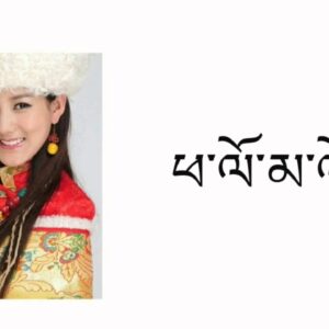 PhaLo MaLo Song By | Tsewang Lhamo ཕ་ལོ་མ་ལོ། #tibetansong