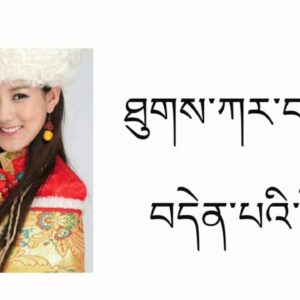 ThukKar ToyePa DanPayTok Song By | Tsewang Lhamo ཐུགས་ཀར་བསྟོད་པ་བདེན་པའི་ཏོག། #tibetansong