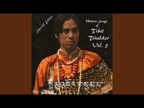 Trinkhor 3